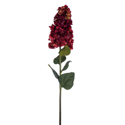 Hydrangea Stem