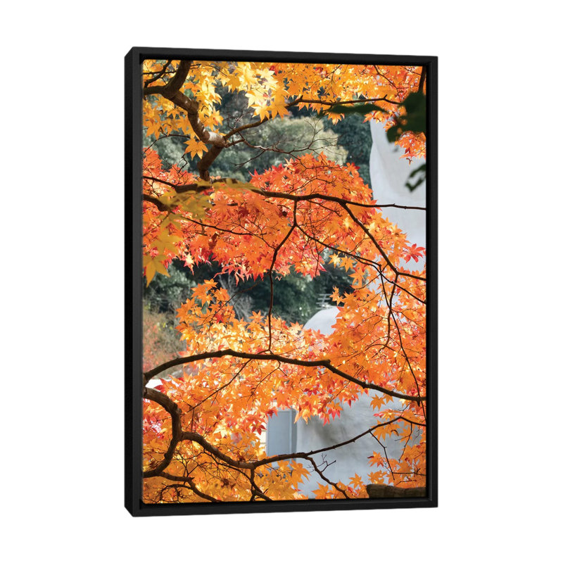 Reproduction de photo sur toile, H 26 po x l 18 po x P 1,5 po, Toile avec cadre noir, Pas de tapis