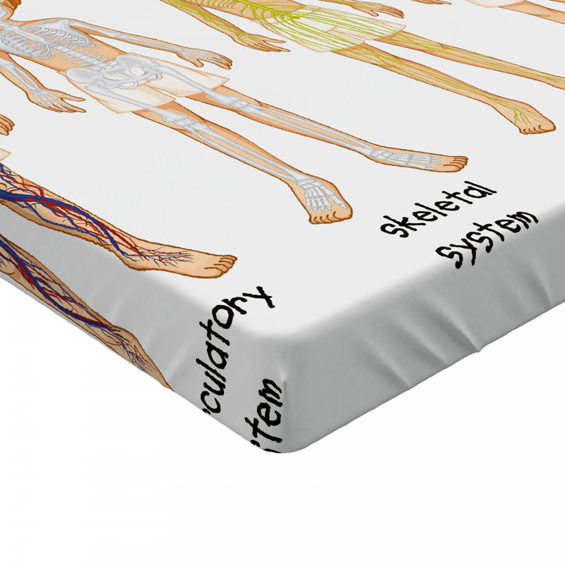 Microfiber Fitted Sheet, Twin XL Fitted Sheet