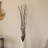 Seaford Mulberry Branches-937152164-937112880