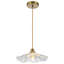 Luminaire suspendu 11 po Vintage Flower, abat-jour en verre soufflé à la main avec options claires, lampe d'îlot de cuisine réglable-1378809526