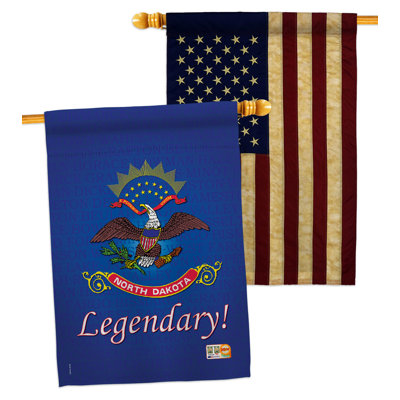 Double Sided 40'' H x 28'' W Polyester House Flag