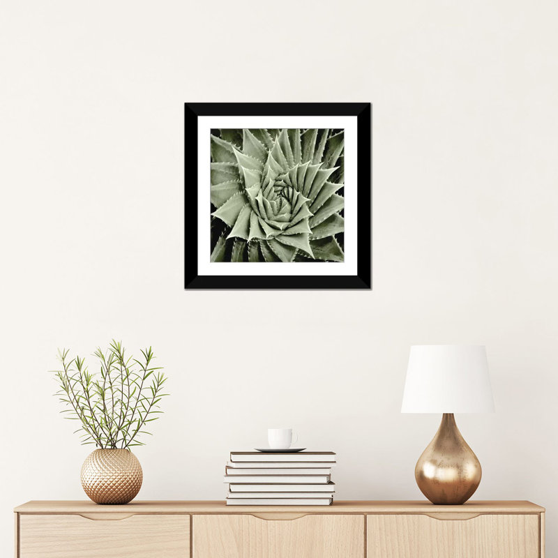 «Green Succulent I» par Mia Jensen, reproduction sur toile tendue sur châssis, H 12 po x l 12 po x P 1,5 po, Pas de tapis
