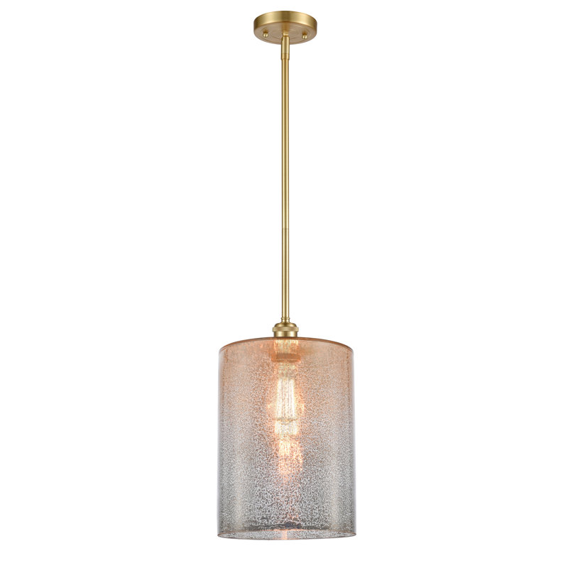 Luminaire suspendu cylindrique à 1 lumière Leilani, Ampoule à DEL rétro de 6 watts, Mercure, Or satiné
