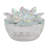 Glass Trinket Box-888858012-871158532