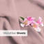 Ensemble de draps de luxe extra profonds - Ensembles de draps ultra doux et rafraîchissants-110359131-103254513