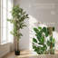 Grand ficus artificiel avec pot en plastique