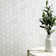 Bianco Dolomite 2" x 2" Marble Mosaic Tile in White