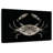 Coastal Crab I-107886834