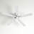 Aaden 52'' Ceiling Fan in White-890462102-890462097