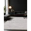 Tapis gris soyeux et moelleux-1691152245