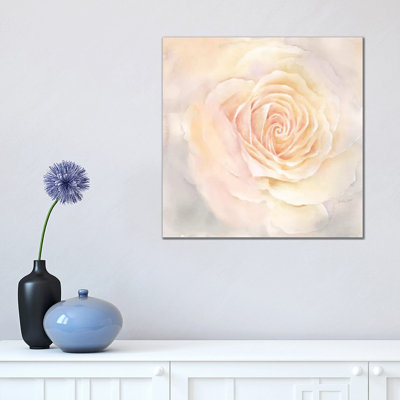 Blush Rose Closeup III by Cynthia Coulter - Wrapped Canvas Painting