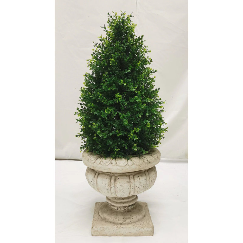 Pine Tree in Planter, 18"