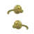 Satin Brass