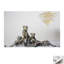 Print on Canvas-1595261746-1595261732