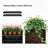 Tall Metal Planter Box, Raised Garden Bed with Trellis