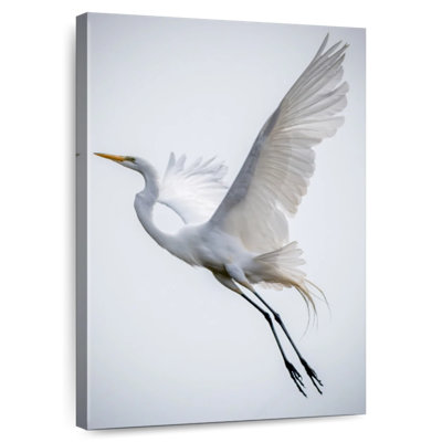 Brampt Angelic Great Egret
