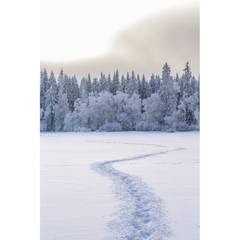 Winter Landscape - Wrapped Canvas Print, 46cm H x 30cm W x 3.8cm D