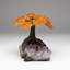Genuine Citrine Clustered Gemstone Tree on Amethyst Matrix (The Money Tree)