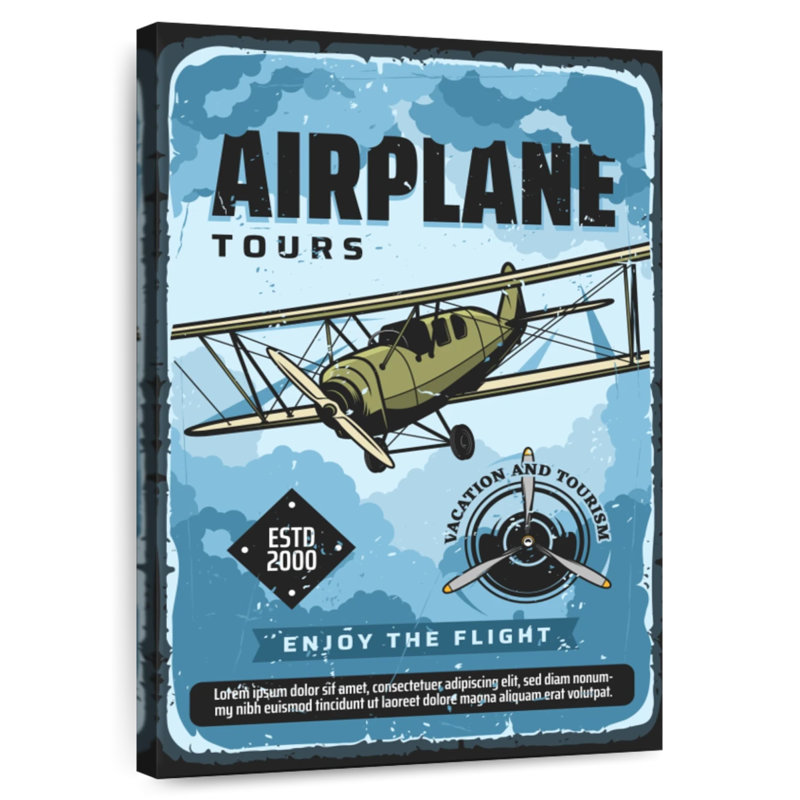 Tours en avion Mehar, H 30 po x l 20 po