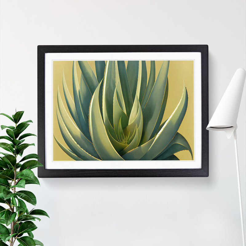 Lush Aloe Vera Plant - Single Picture Frame Print, Black, 46cm H x 64cm W x 2cm D