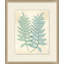 Spring Ferns 1 Painting