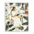 Coastal White Framed Giclee