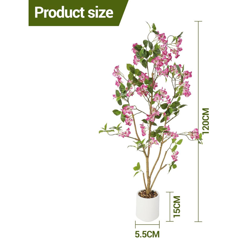 120cm Plant