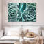 Harnek Different Succulents-107714912