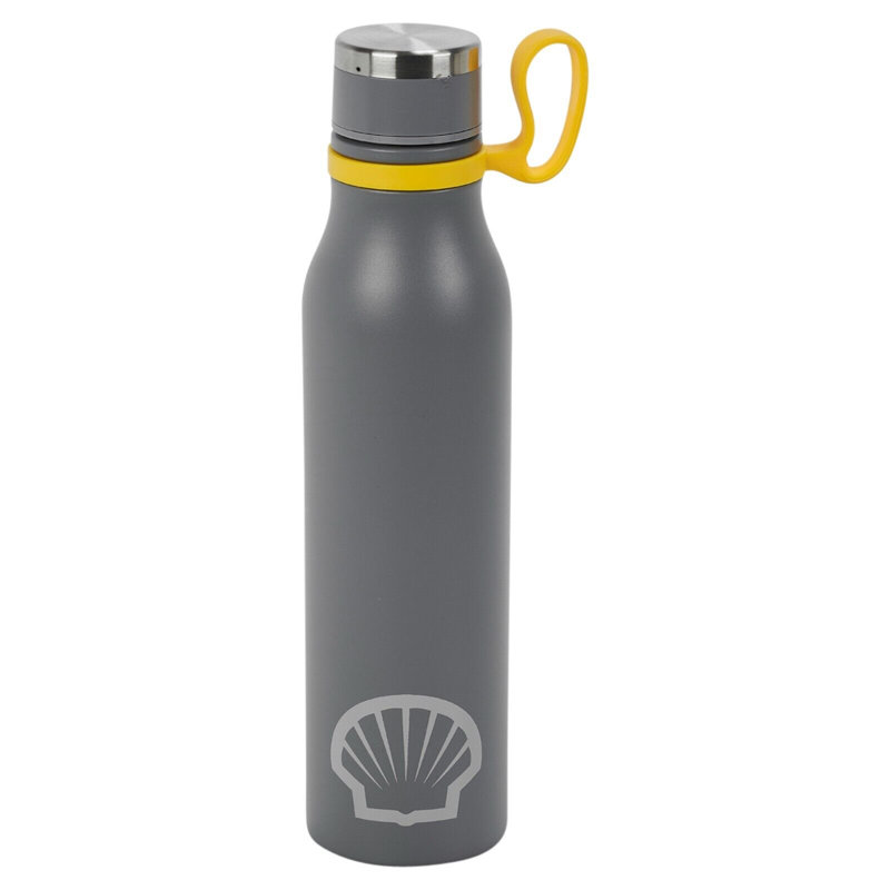 Belfry Kitchen Carlea 500ml Double Wall Insulated Stainless Steel Insulated Bottle