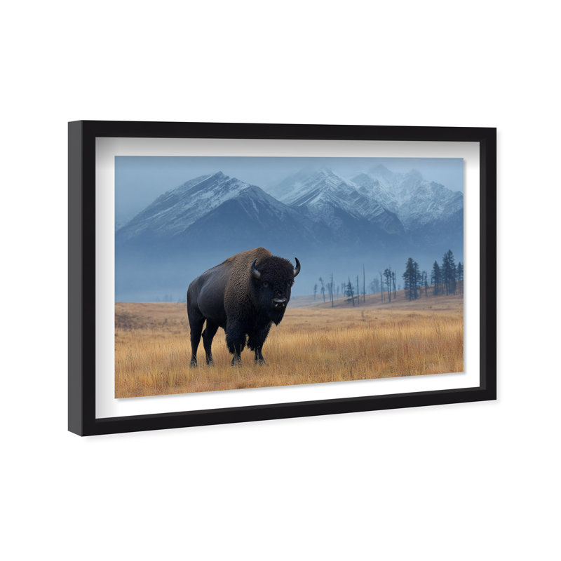 Mountain Bison I Print by Oliver Gal, 11.5" H x 16.5" W, Black Shadowbox