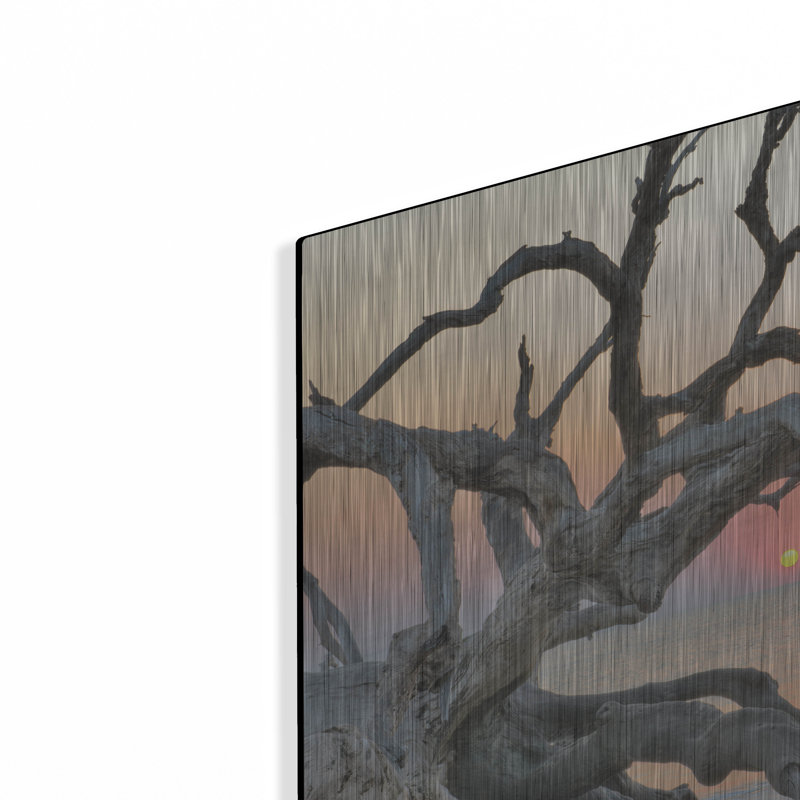 «Sunrise Sentinel» par Steve Vaughn, art mural en métal, H 12 po x l 16 po