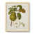 Natural Framed Canvas is out of stock