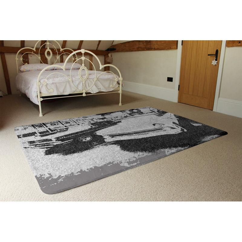 Walsh Shag Area Rug, Rectangle 160 x 230cm