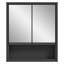 Mirror Cabinet