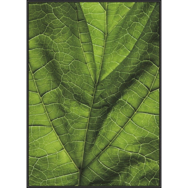 Single Picture Frame Print