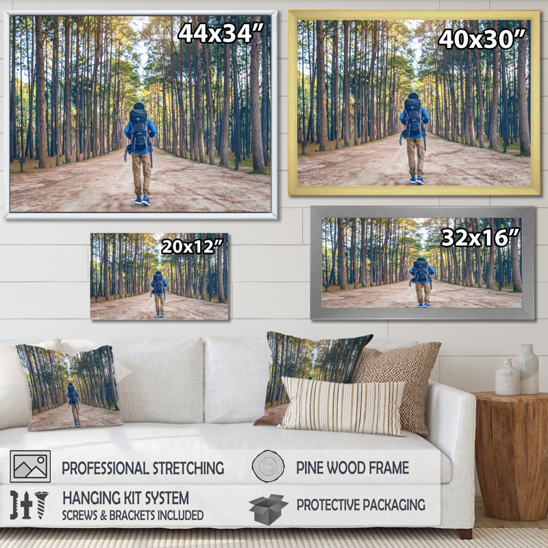 «Wilderness Forest Hike» sur toile, Cadre flottant doré, H 12 po x l 20 po x P 1 po