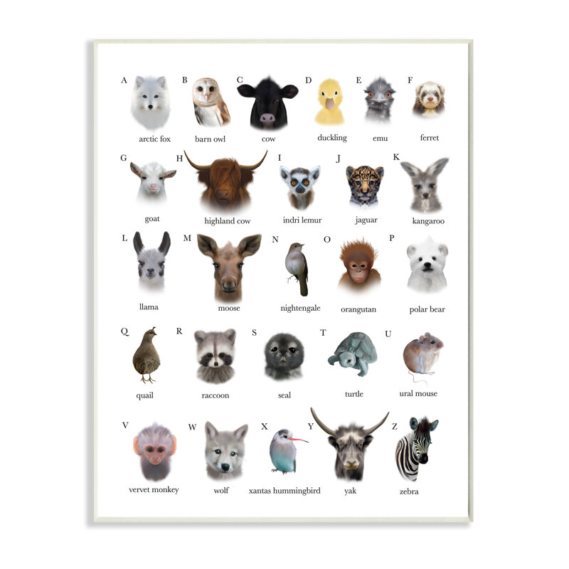Carte alphabétique des animaux sauvages - Impression sur toile, Toile tendue, H 40 po x l 30 po