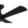 Provision 52'' Ceiling Fan