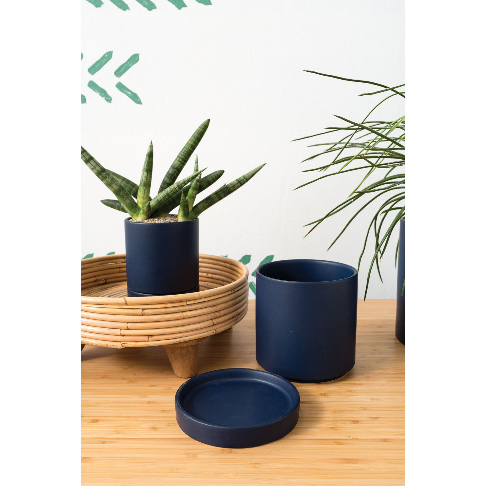 Carlotta 12" Ceramic Pot Planter, Dark Blue, 7" H x 7" W x 7" D