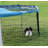 24 " H Metal Exercise Pen with Pet Door