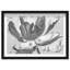 Full Bloom Framed Graphic Art-554929488-554929494