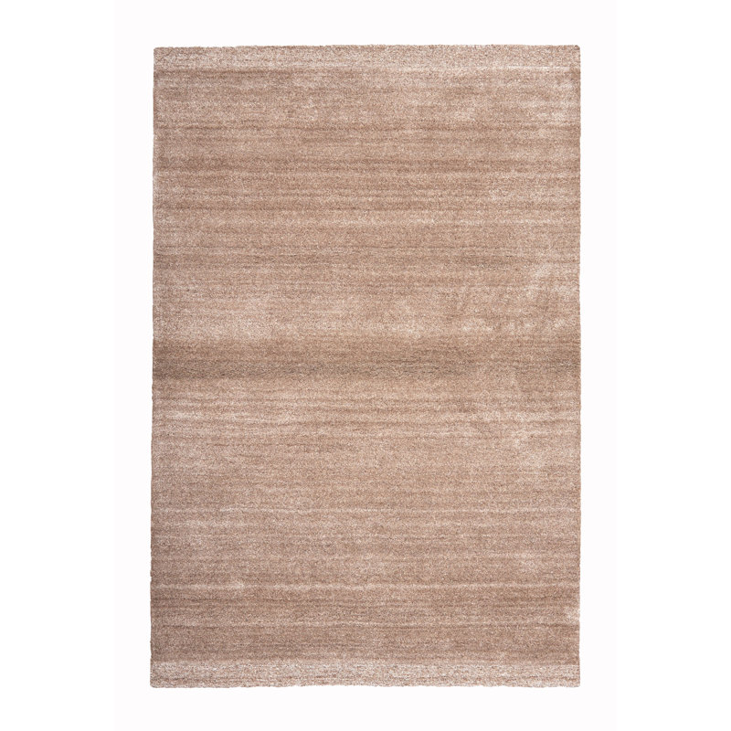 Brieah Hand Woven Area Rug, Rectangle 120 x 180cm