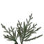 Vickerman 9.5' x 60" Slim Itasca Fraser Fir Artificial Pre-Lit Christmas Tree with 1050 Warm White LED Mini Lights, 3076 Realistic PE/PVC Tips, 6' Step On/Off Power Cord and Folding Metal Tree Stand. Assembly is required.-1444327182-1444327176-1444327183