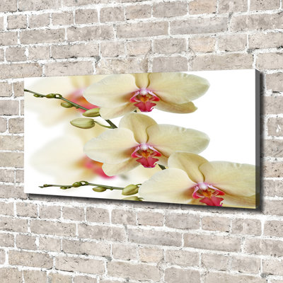 Orchid 1 Piece Wrapped Canvas Wall Art