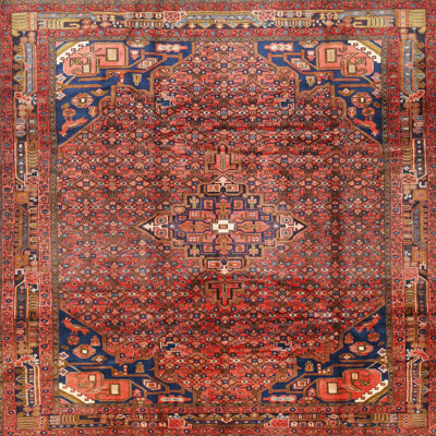 Oriental Indoor Rug