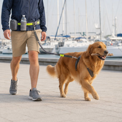 Ensemble ceinture mains libres pour promener son chien, comprenant une laisse élastique, une pochette zippée à la taille, un porte-bouteille et des bandes réfléchissantes pour la course et la randonnée.
