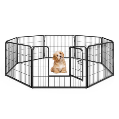 Shawnte Exercise Pen