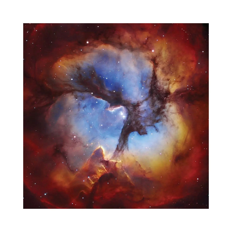 M20, Trifid Nebula II by Robert Gendler - Wrapped Canvas Painting, 93.98 cm H x 93.98 cm W x 3.175 cm D