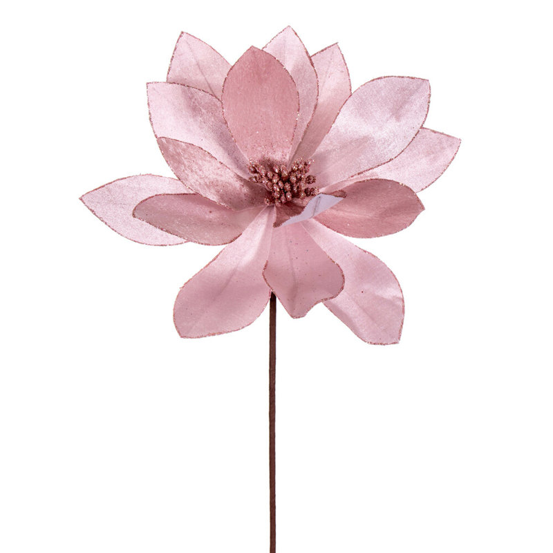 Tige de poinsettia Kimura H 22 po, Rose